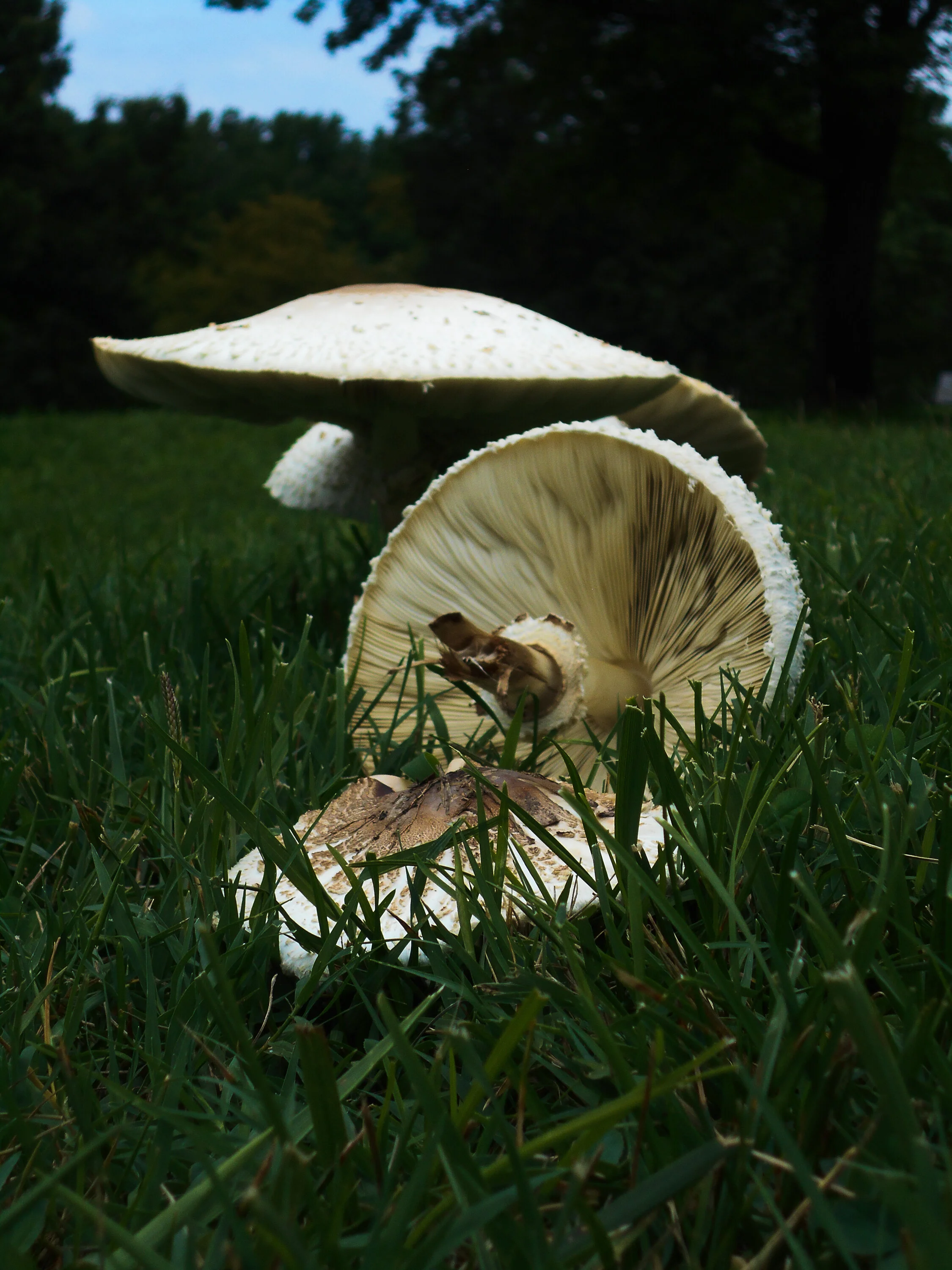 DSCN2053.jpg