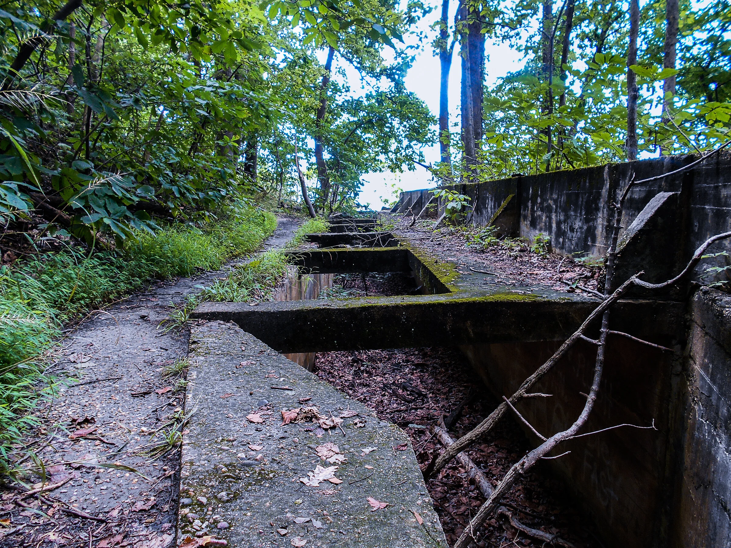DSCN2015.jpg