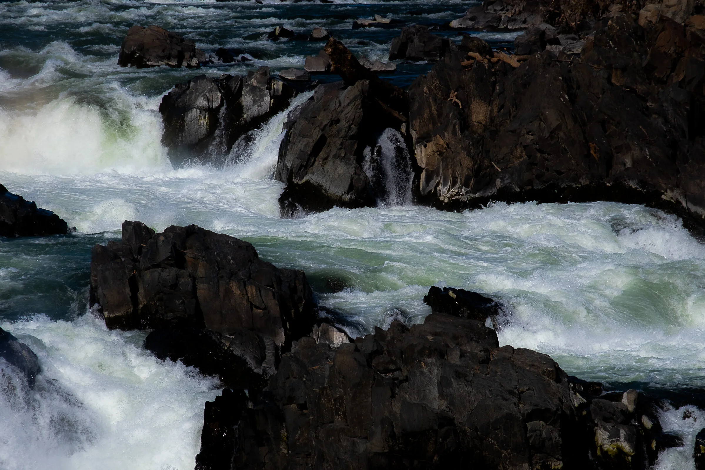 DSCF0801.jpg