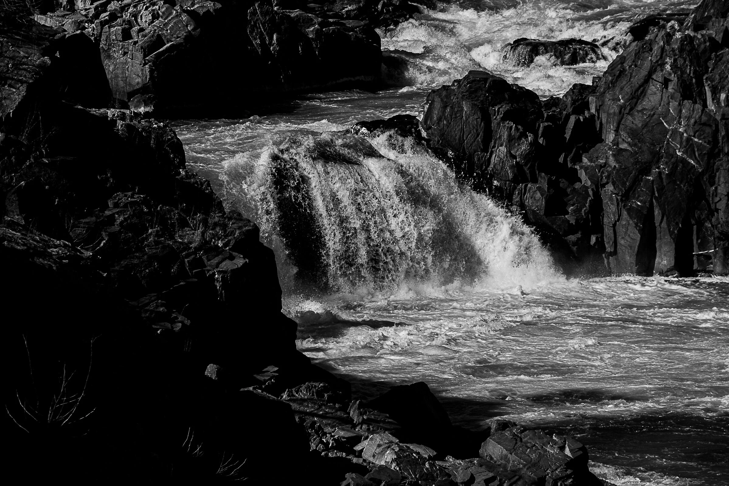 DSCF0833.jpg