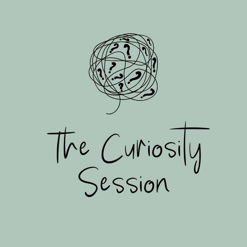 The Story Curiosity Session.png