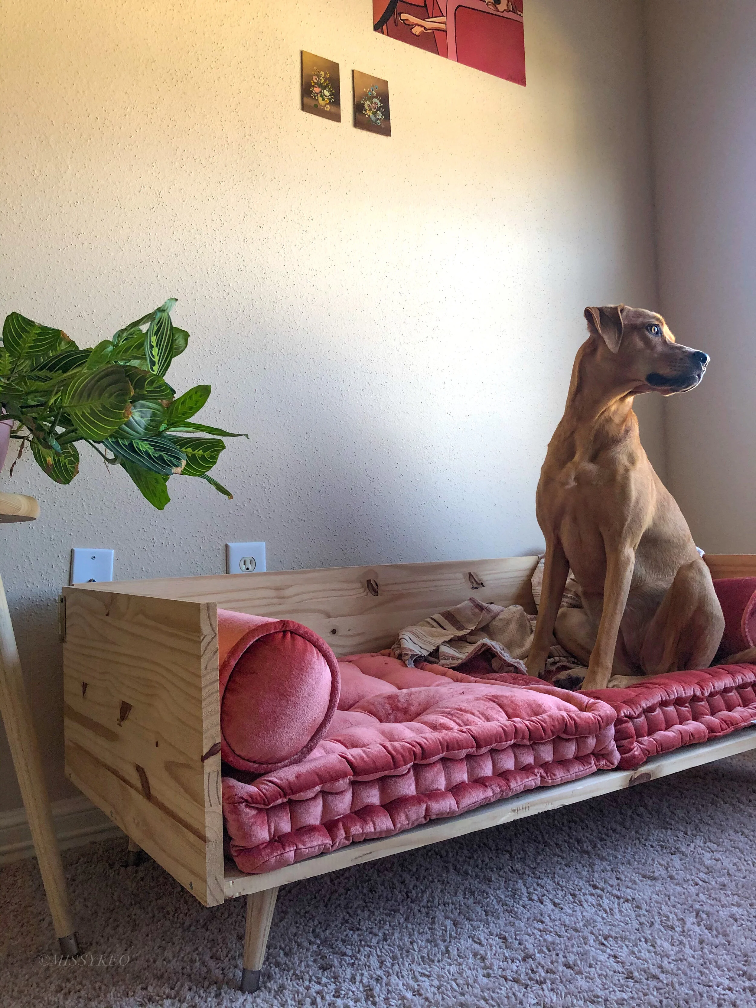 Hot built in dog bed ideas Flash Sales