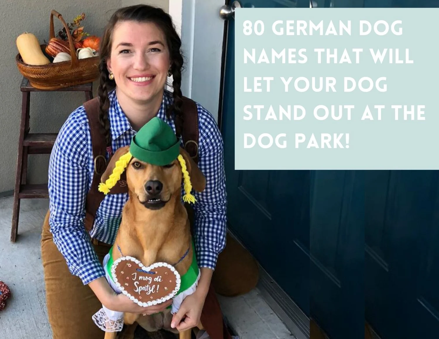 80 Unique German Dog Names