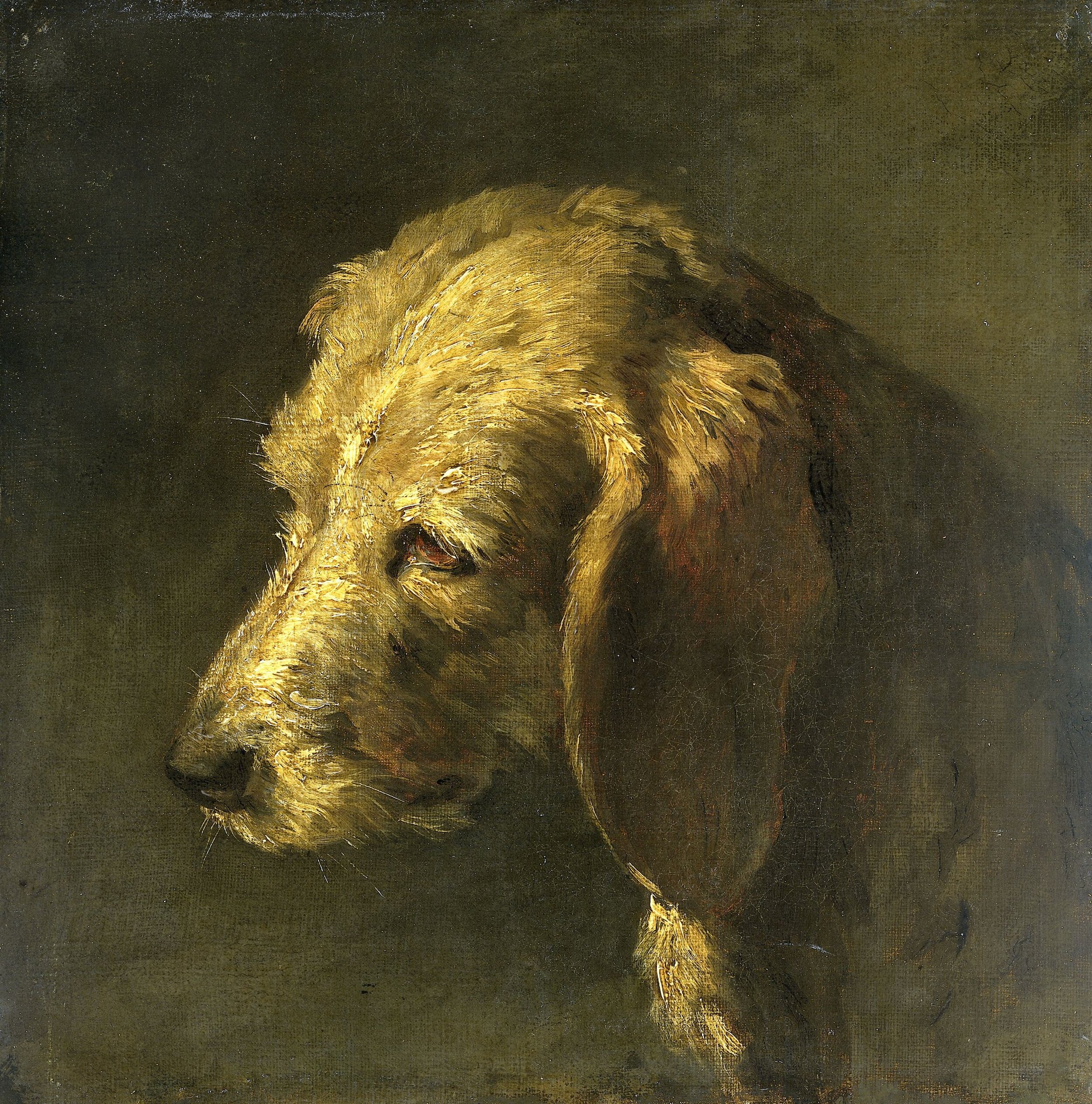 Head of a Dog, Nicolas Toussaint Charlet (attributed to), c. 1820 - c. 1845