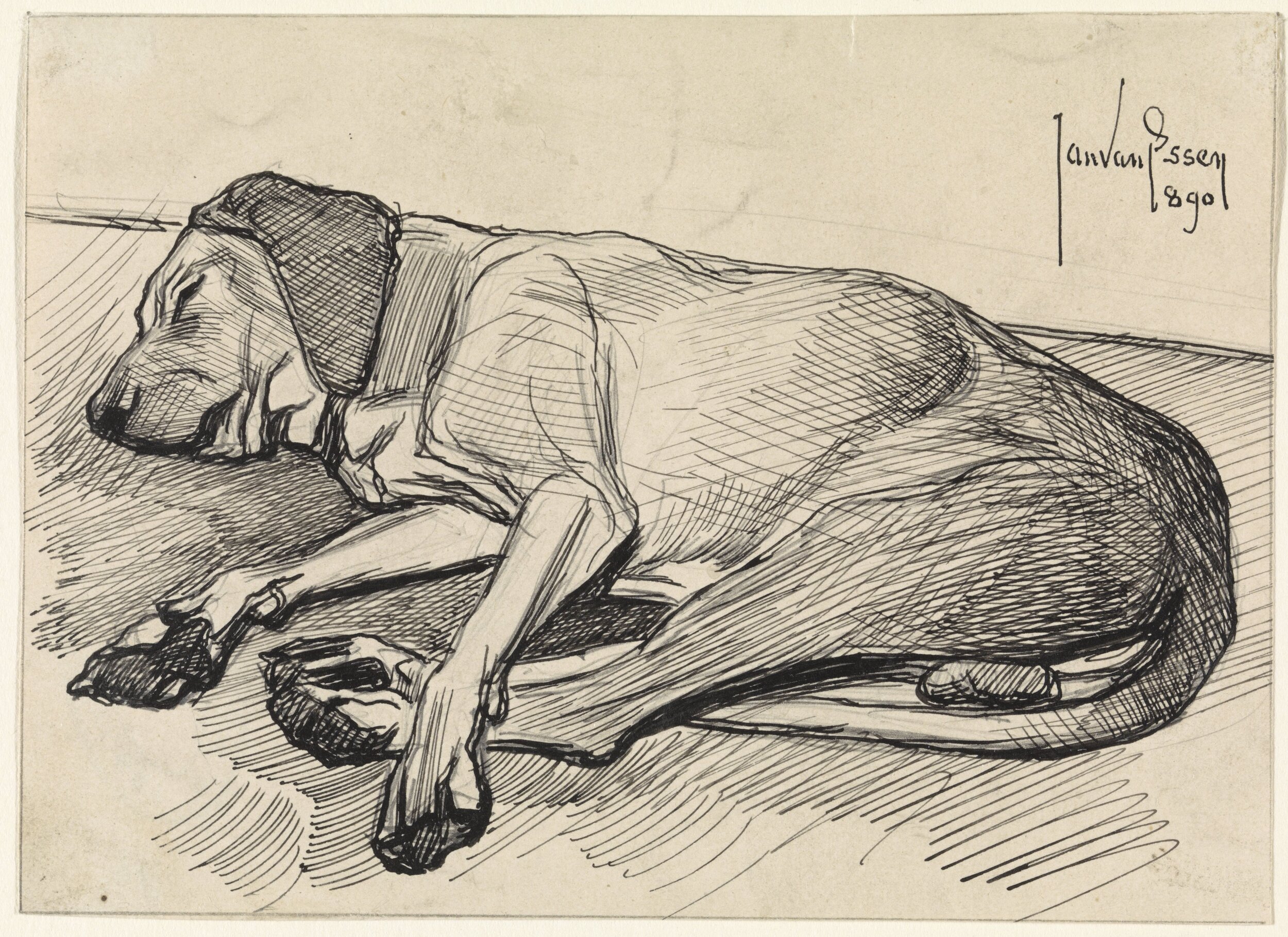 Slapende hond, naar links, Jan van Essen, 1890  