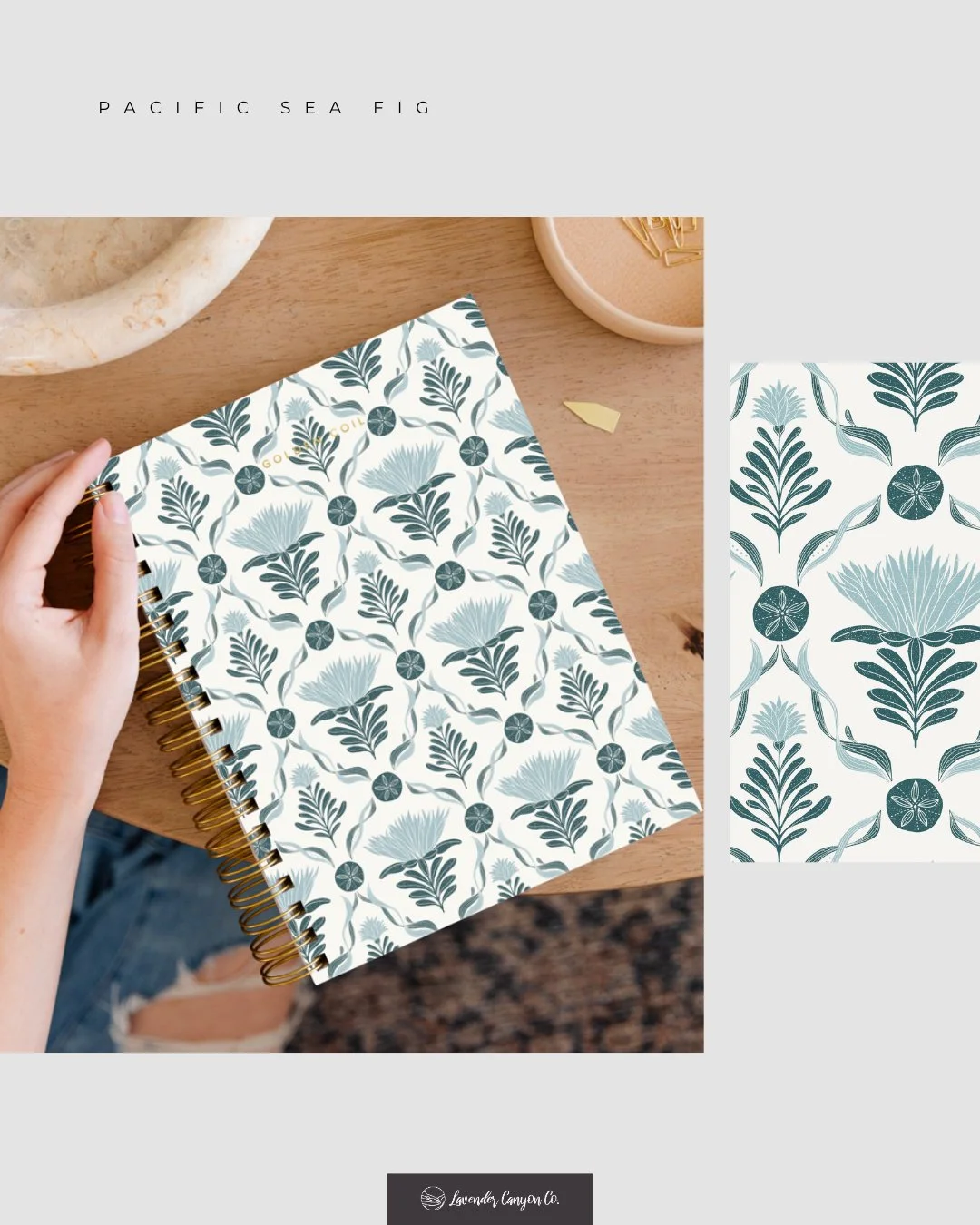 Pacific Sea Fig is inspired by the textures and forms of the Northern California coastline ... succulents, sea life, and drifting kelp ... all wrapped up in a relaxed coastal pattern shaped by observation and quiet memories.
So grateful to have worke