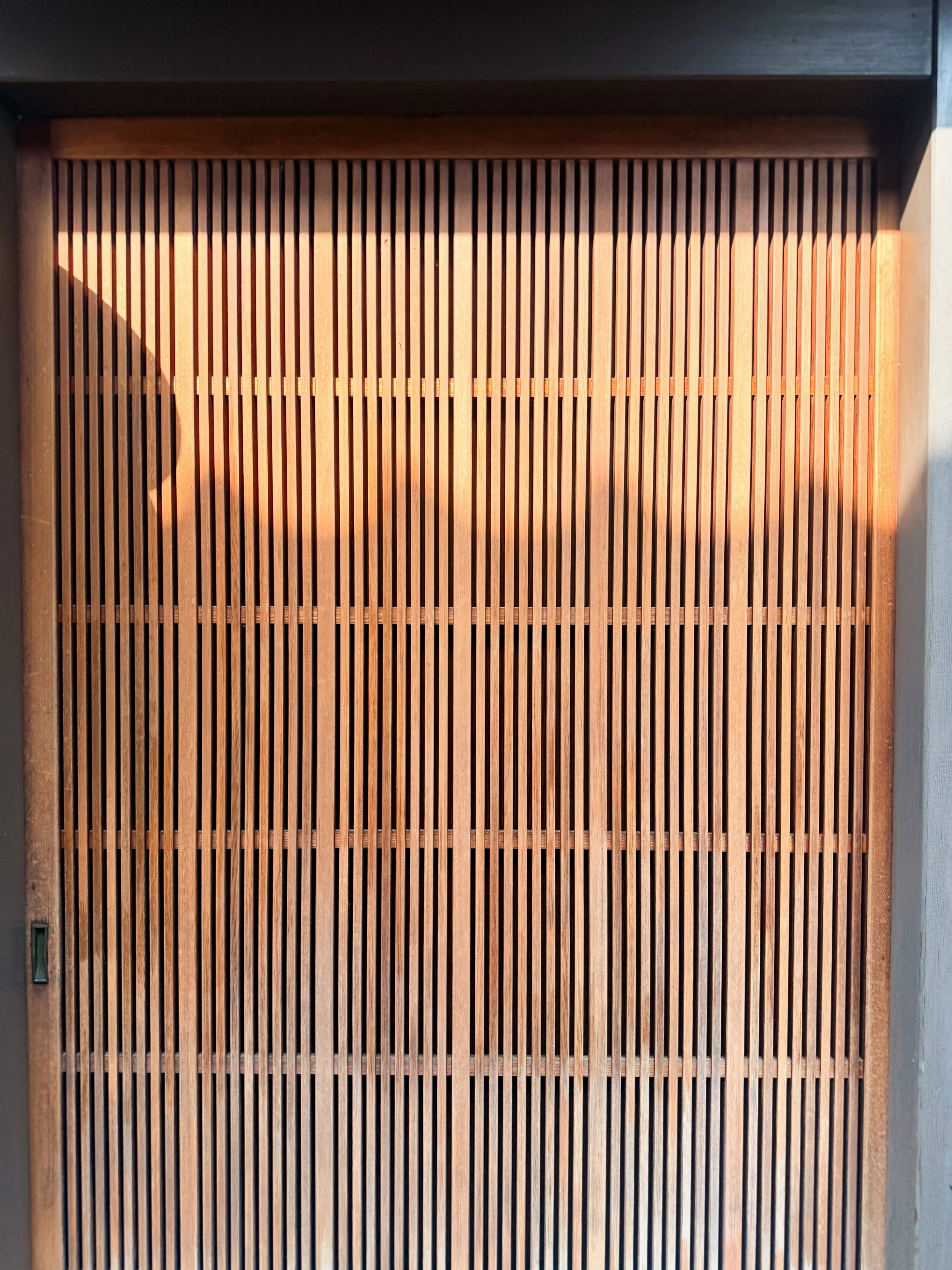 The Art of Noticing | Wood &amp; Light