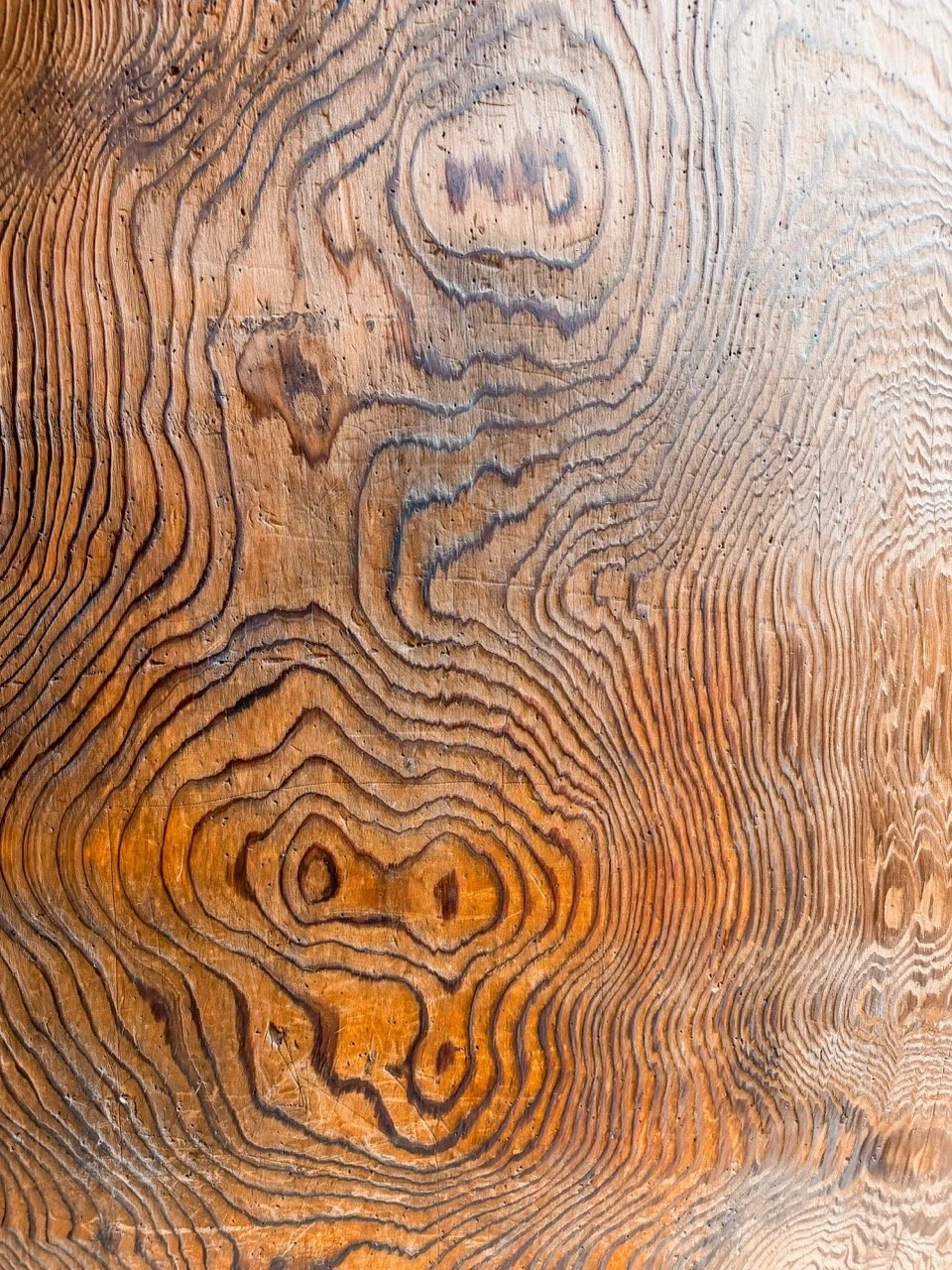 The Art of Noticing | Wood Grain Study