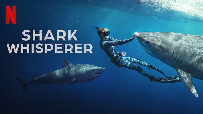 (2025) Story Producer