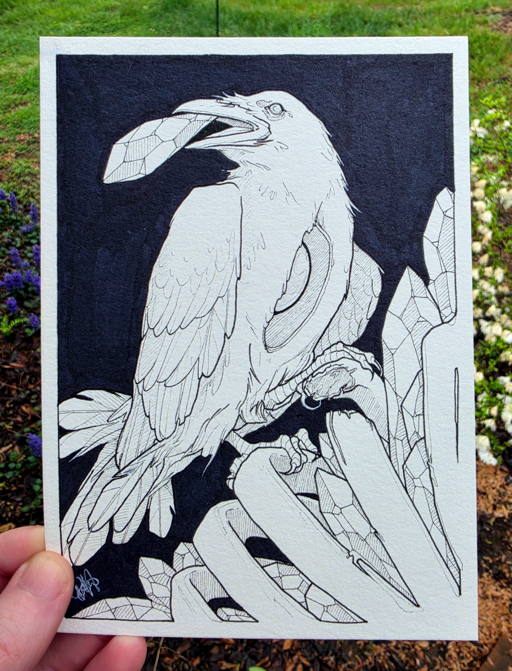 Crystal Crow - Original Ink Illustration 5x7"