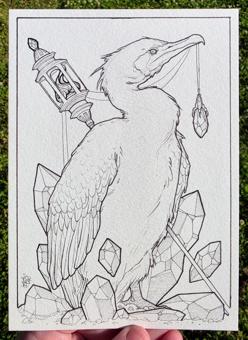 Crystal Cormorant - Original Ink Illustration 5x7"