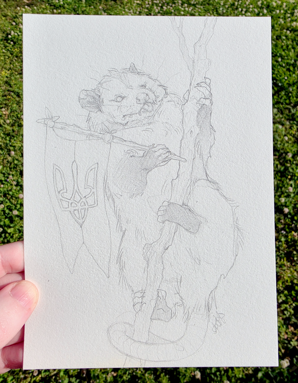 Possums for Peace - Original Pencil Sketch 5x7"