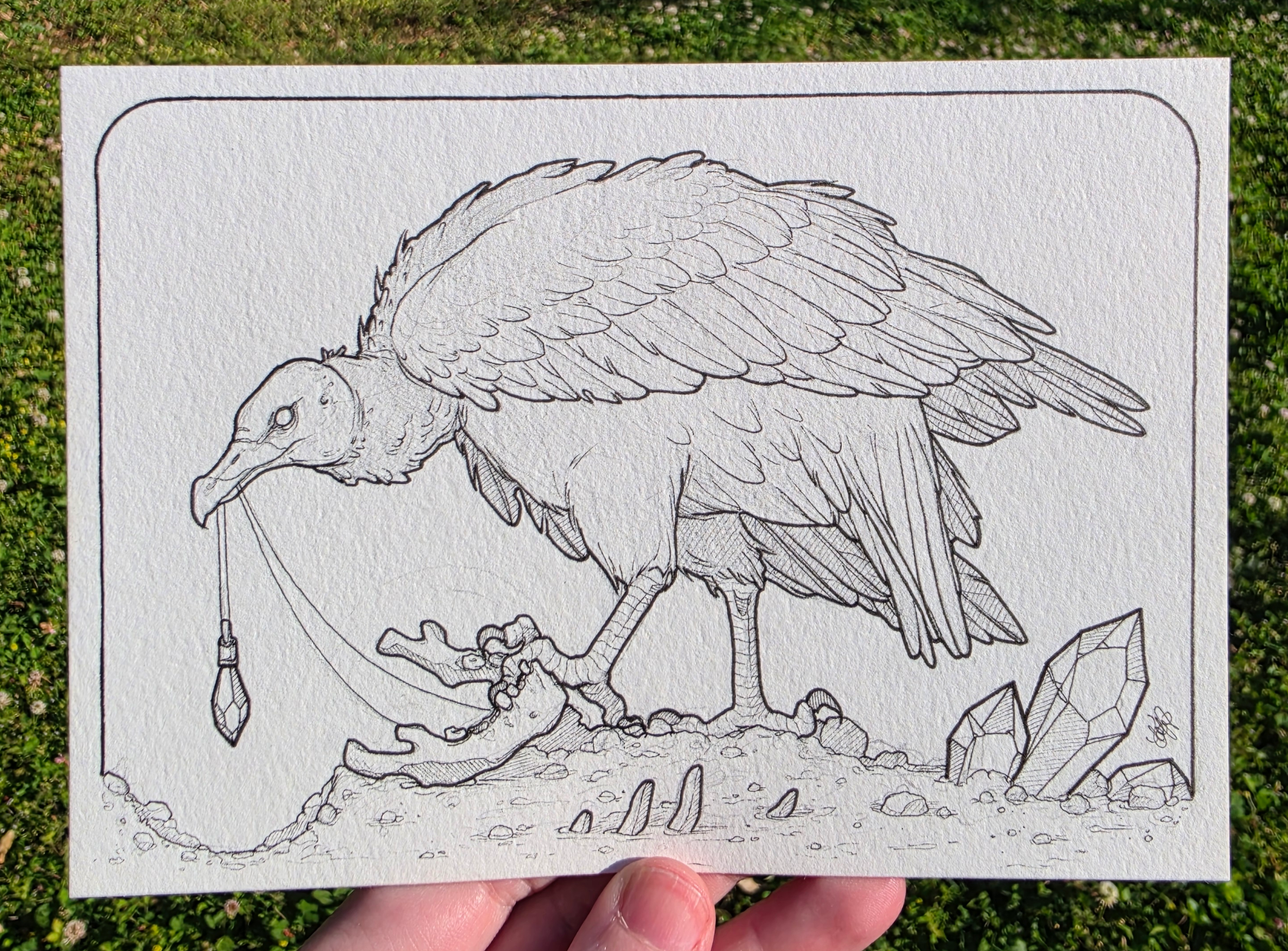 Crystal Vulture - Original Ink Illustration 5x7"