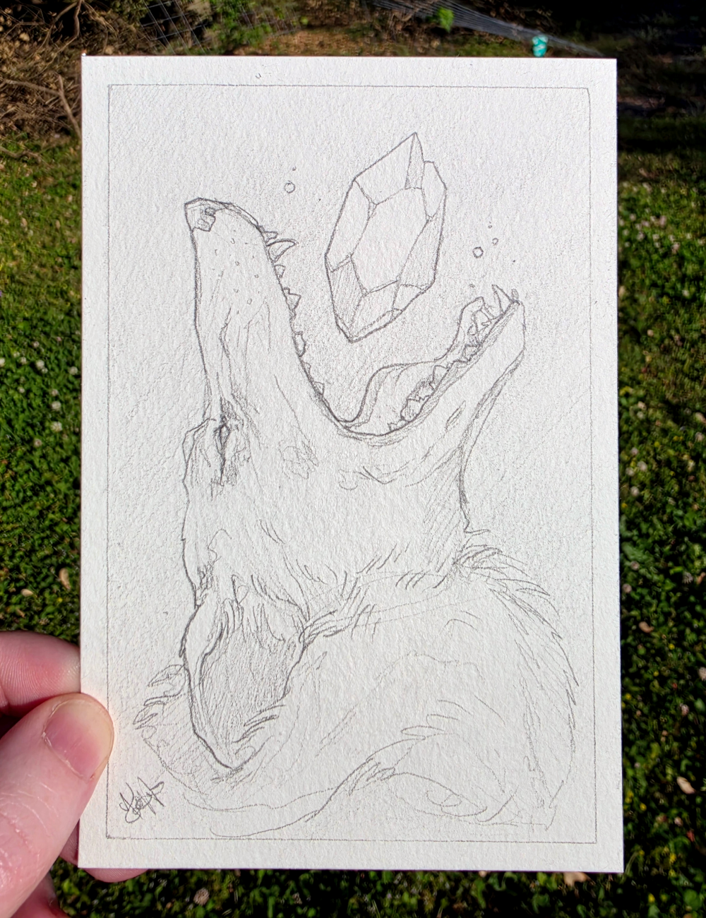 Coyote & Crystal Sketch - Original pencil illustration