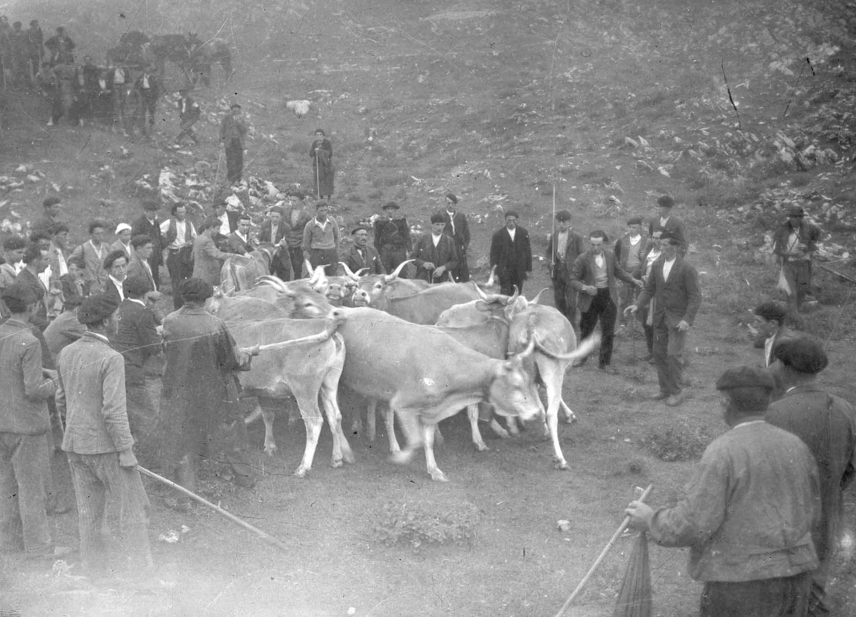 Tribute of the Three Cows (photo), by Ignacio Ojanguren, CC BY-SA 3.0 via Wikimedia Commons