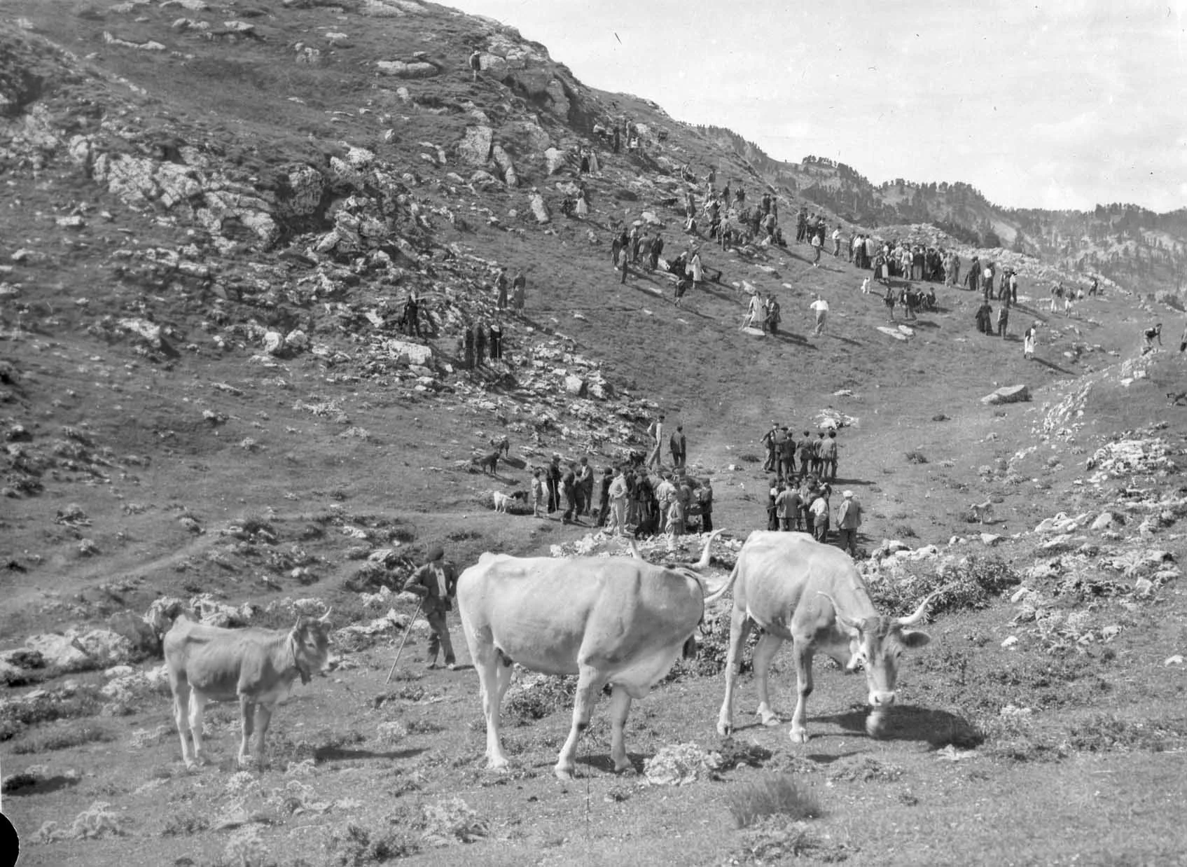 Tribute of the Three Cows (photo), by Ignacio Ojanguren, CC BY-SA 3.0 via Wikimedia Commons