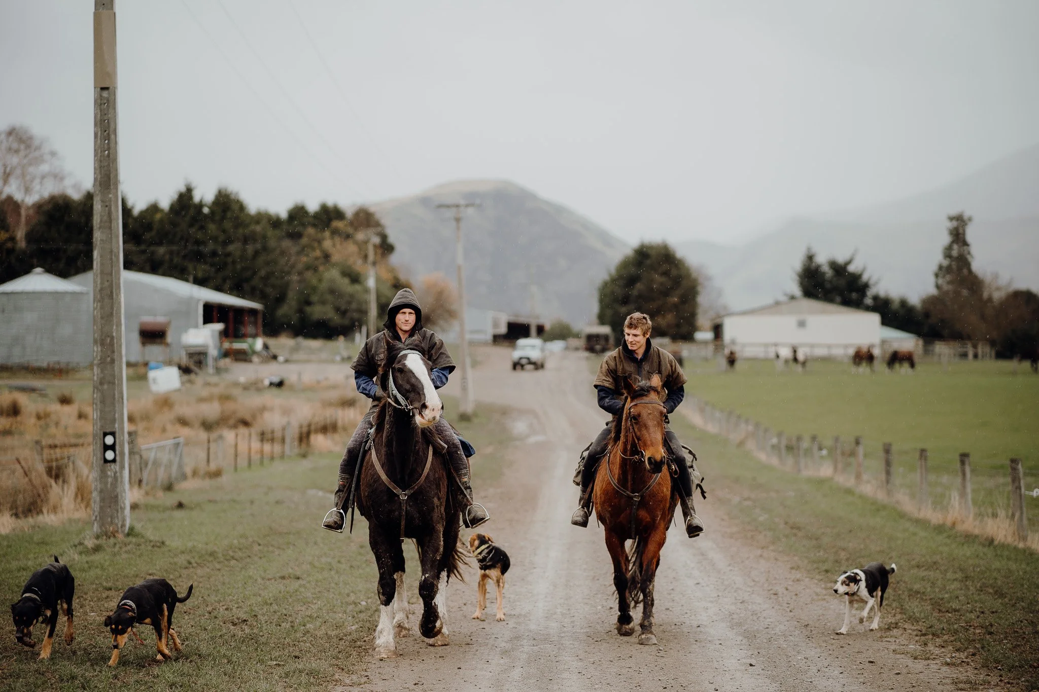 Two people riding horses on a farm road, accompanied by several dogs, with green fields, a few buildings, trees, and mountains in the background.