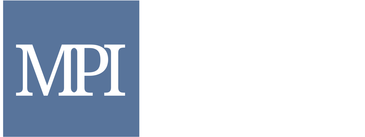 Mindful Policing Institute