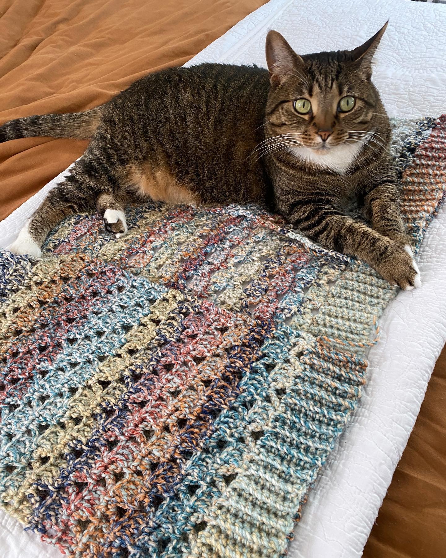 Well, that&rsquo;s one way to block a project 😅 Almost done with this super cute short-sleeved cropped cardigan for cooler spring and summer nights ✨

How do you like to block your garments?

Yarn: Carnival by Big Twist
Pattern: The Kiari Cardigan b