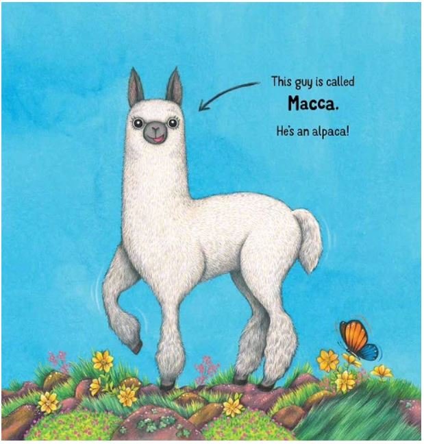 macca the alpaca.JPG