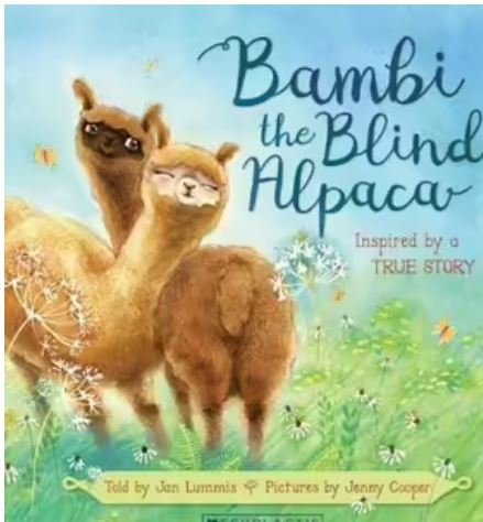 bambi the blind alpaca.JPG