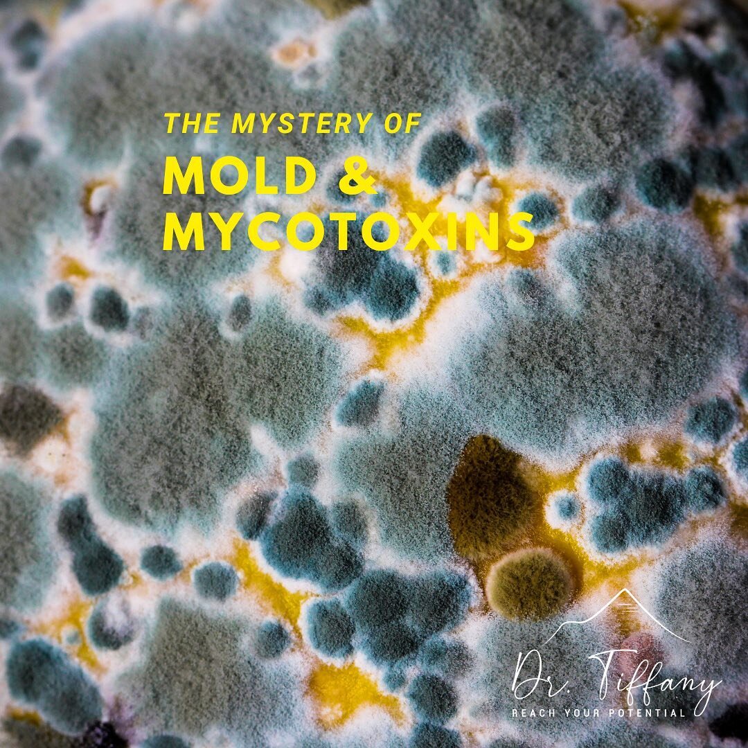 What is Mold &amp; Mycotoxin Syndrome?
﻿
﻿Here&rsquo;s the quick and dirty cheat sheet:
﻿▫️Usually someone who has mold toxicity has other co-infections: mast cell activation, methylation dysfunction (an issue with detoxification), activation of vira