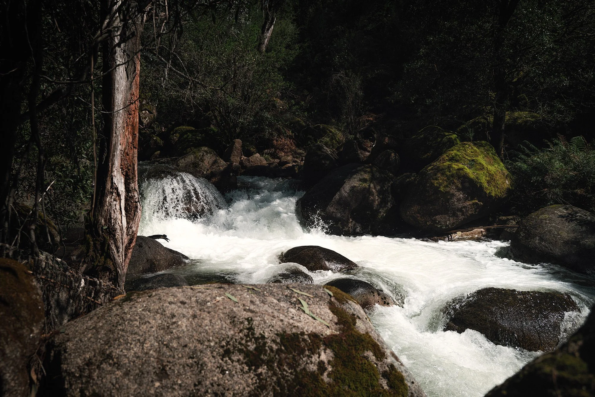 cold river rapids