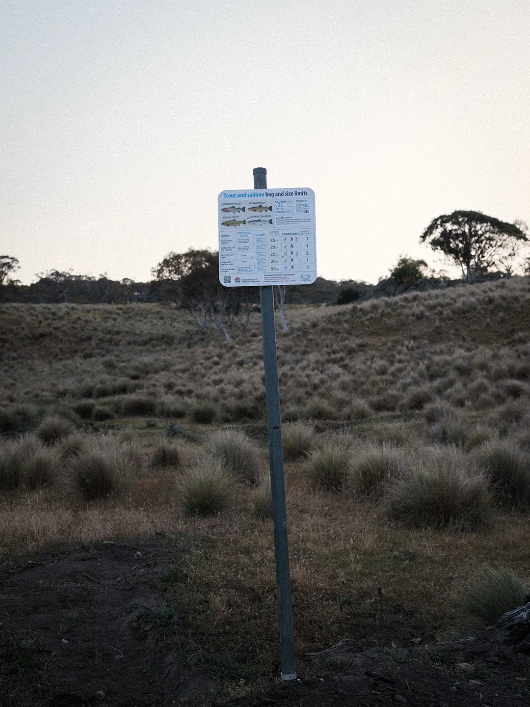 ANOTHER DAY - ANOTHER OPPORTUNITY TO FISH