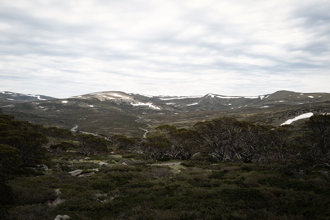 Mount Kosciuszko