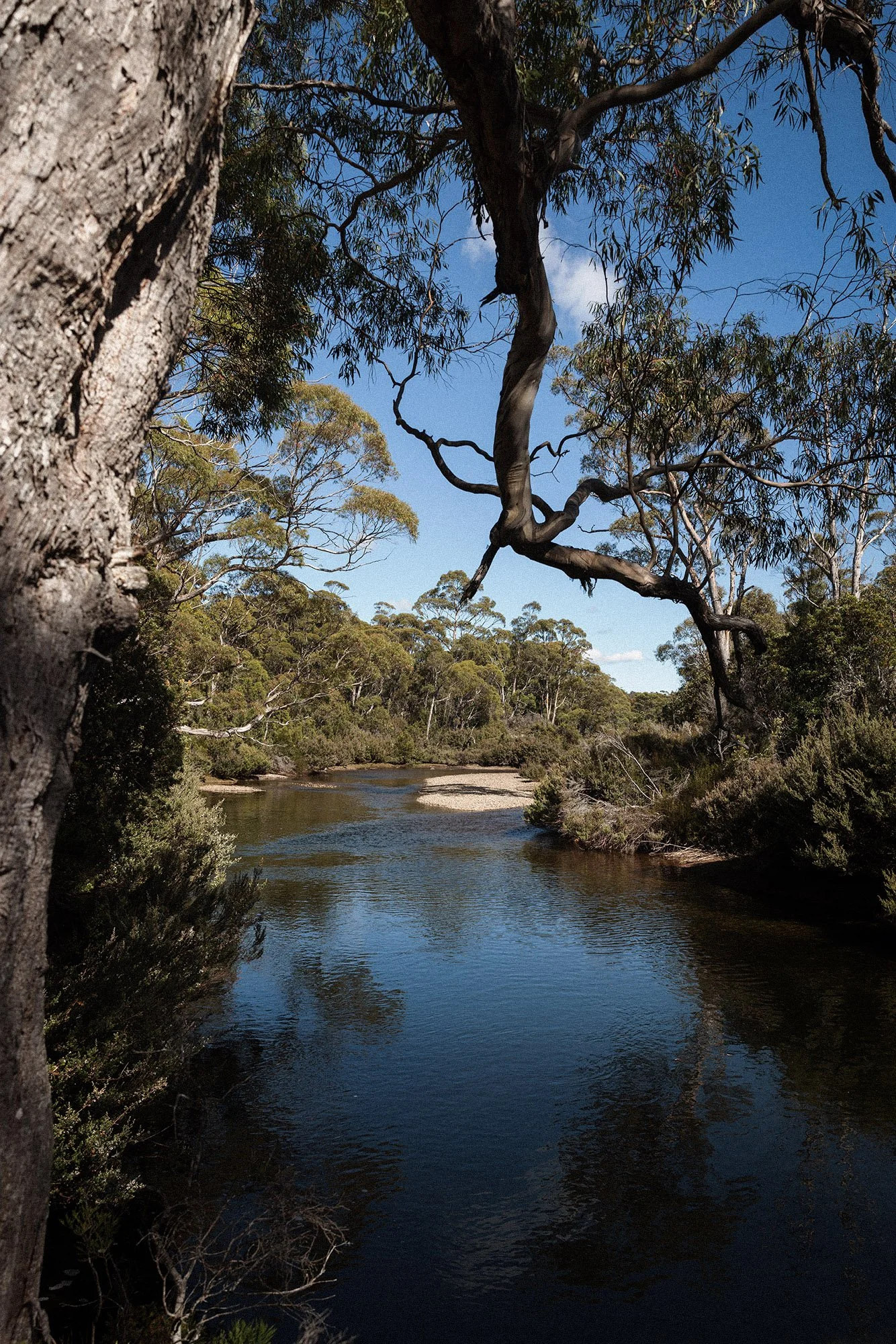 Tasmania 1K1A2316.jpg