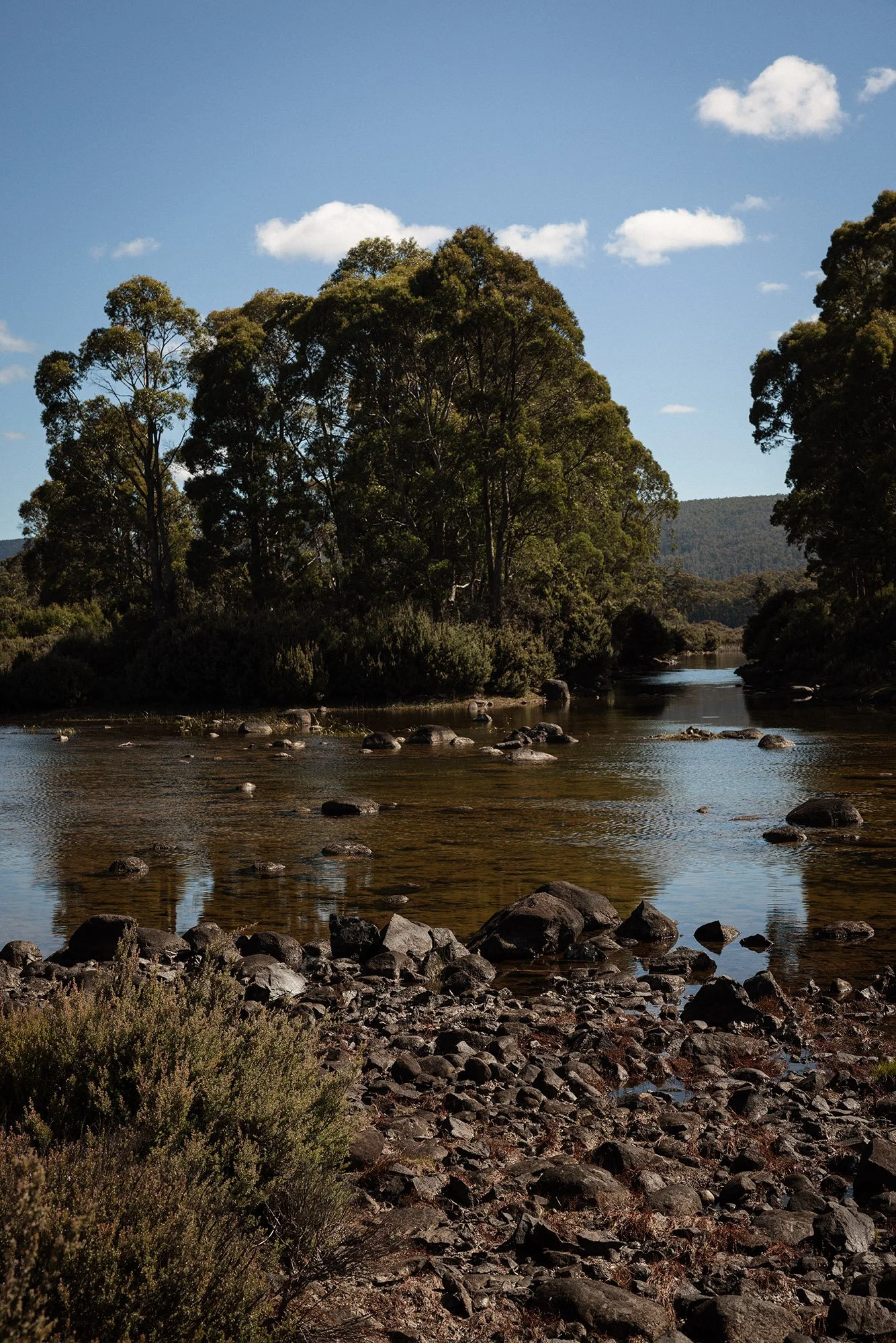 Tasmania 1K1A2321.jpg