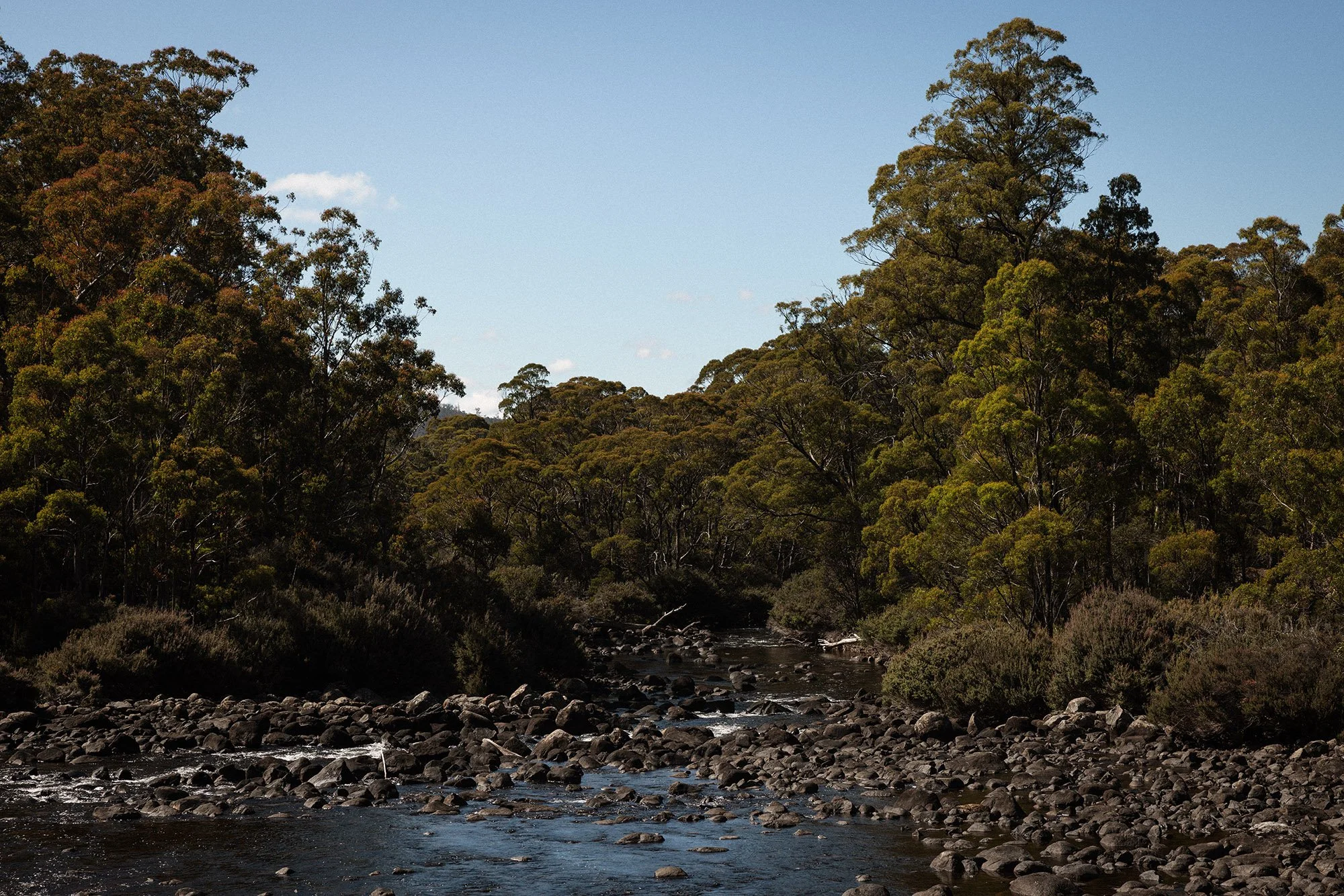 Tasmania 1K1A2323.jpg