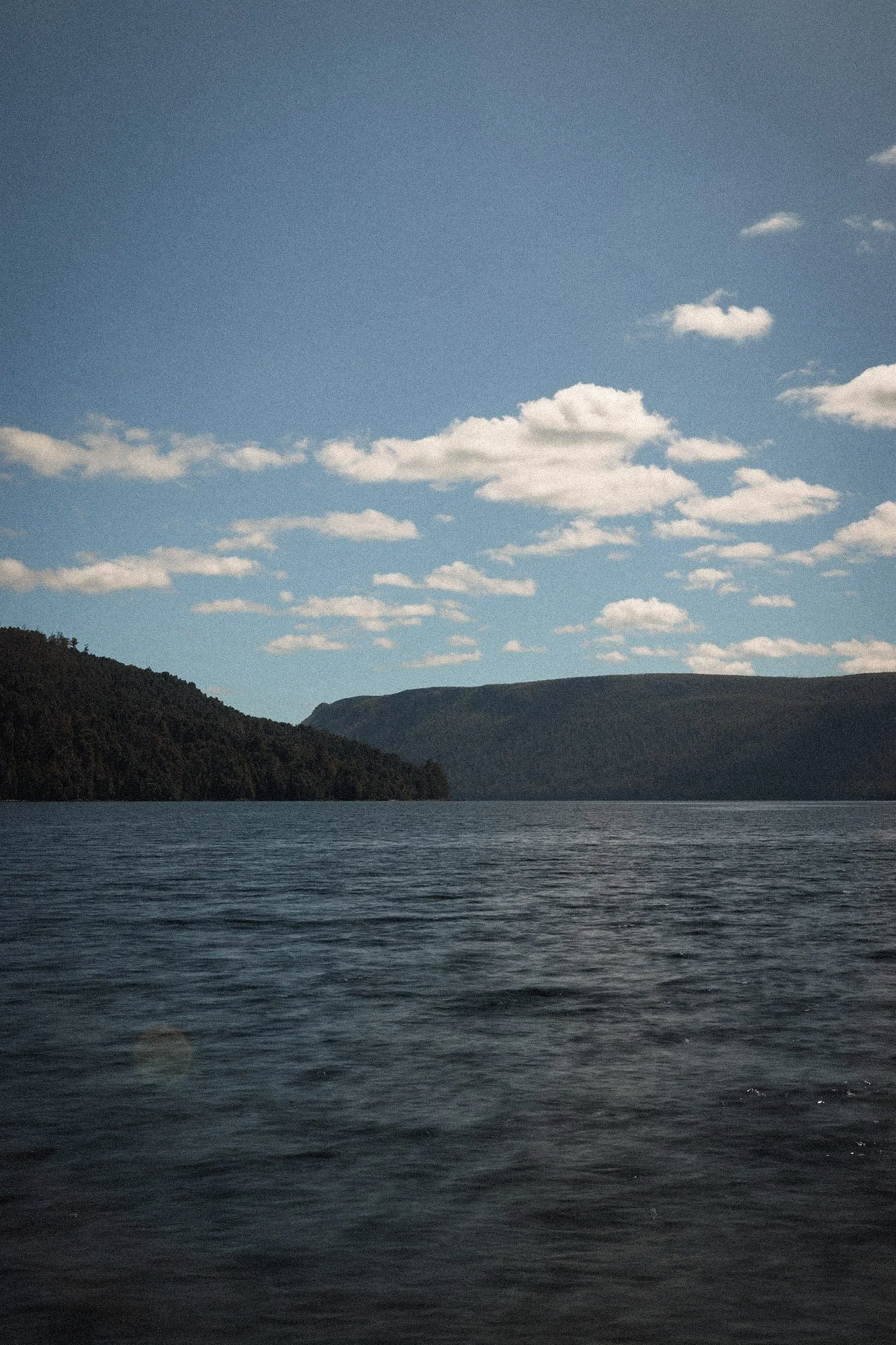 Tasmania 1K1A2364.jpg