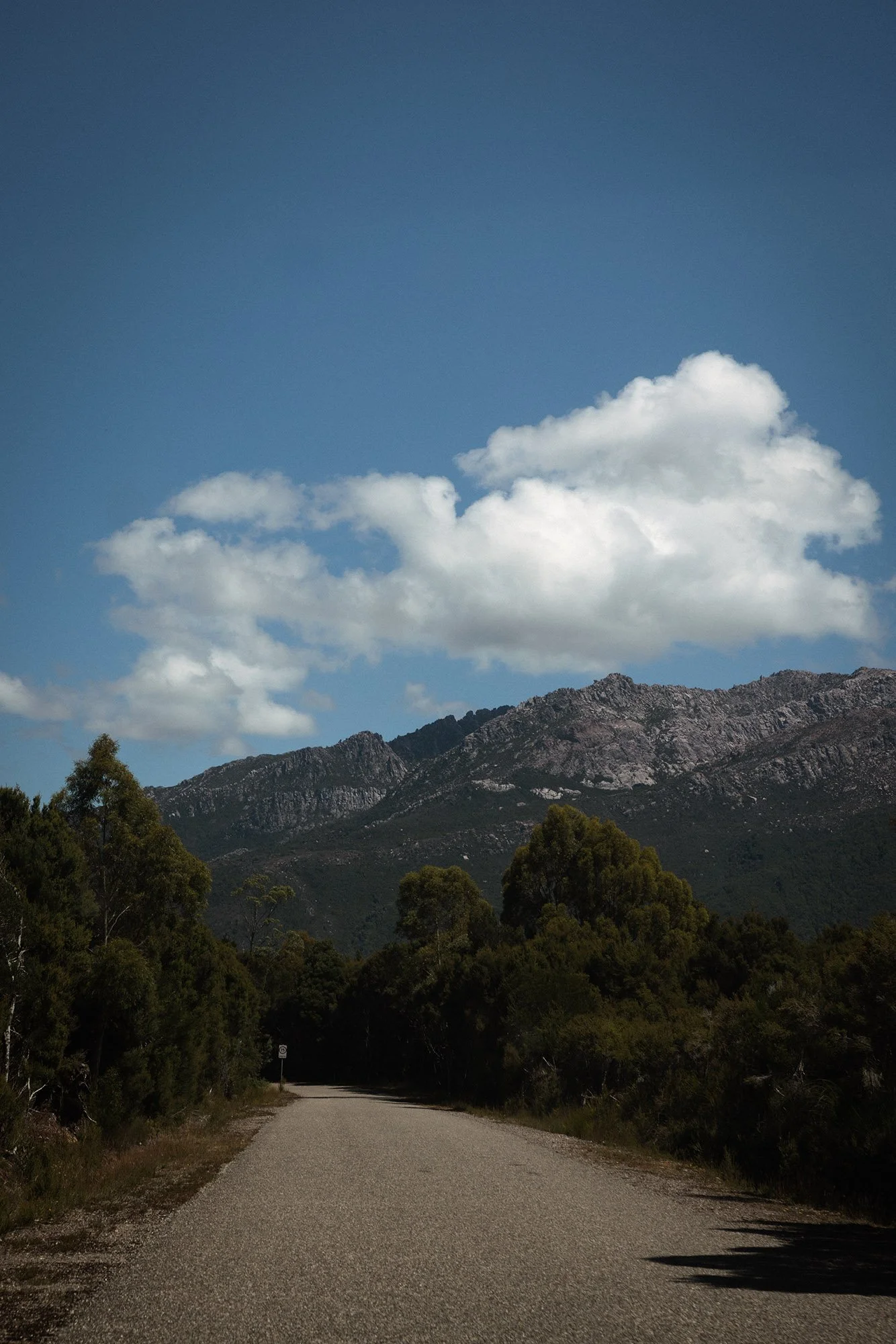 Tasmania 1K1A2403.jpg