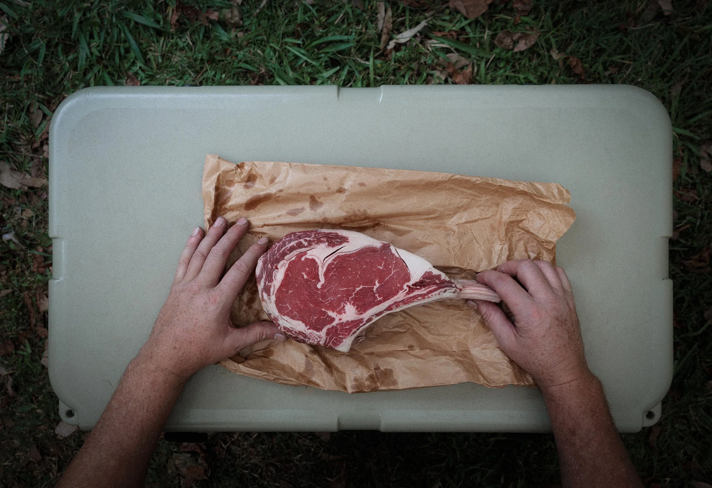 DRY-AGED RIBEYE WITH CHARRED CHIMICHURRI
