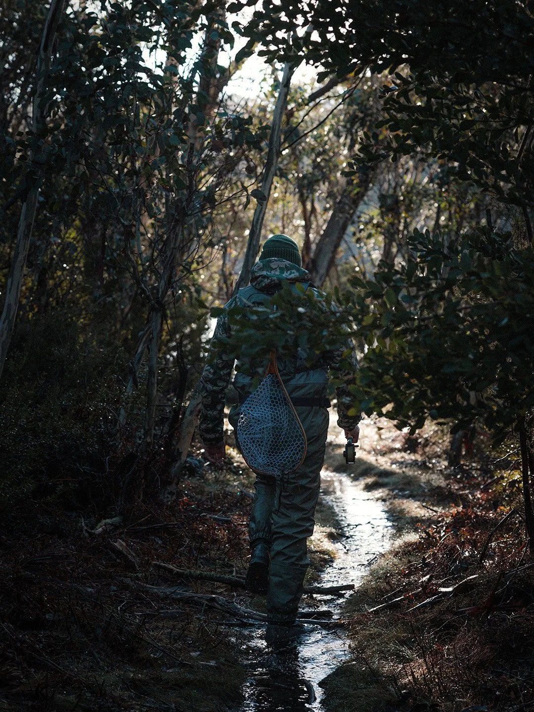 1K1A7486.jpg