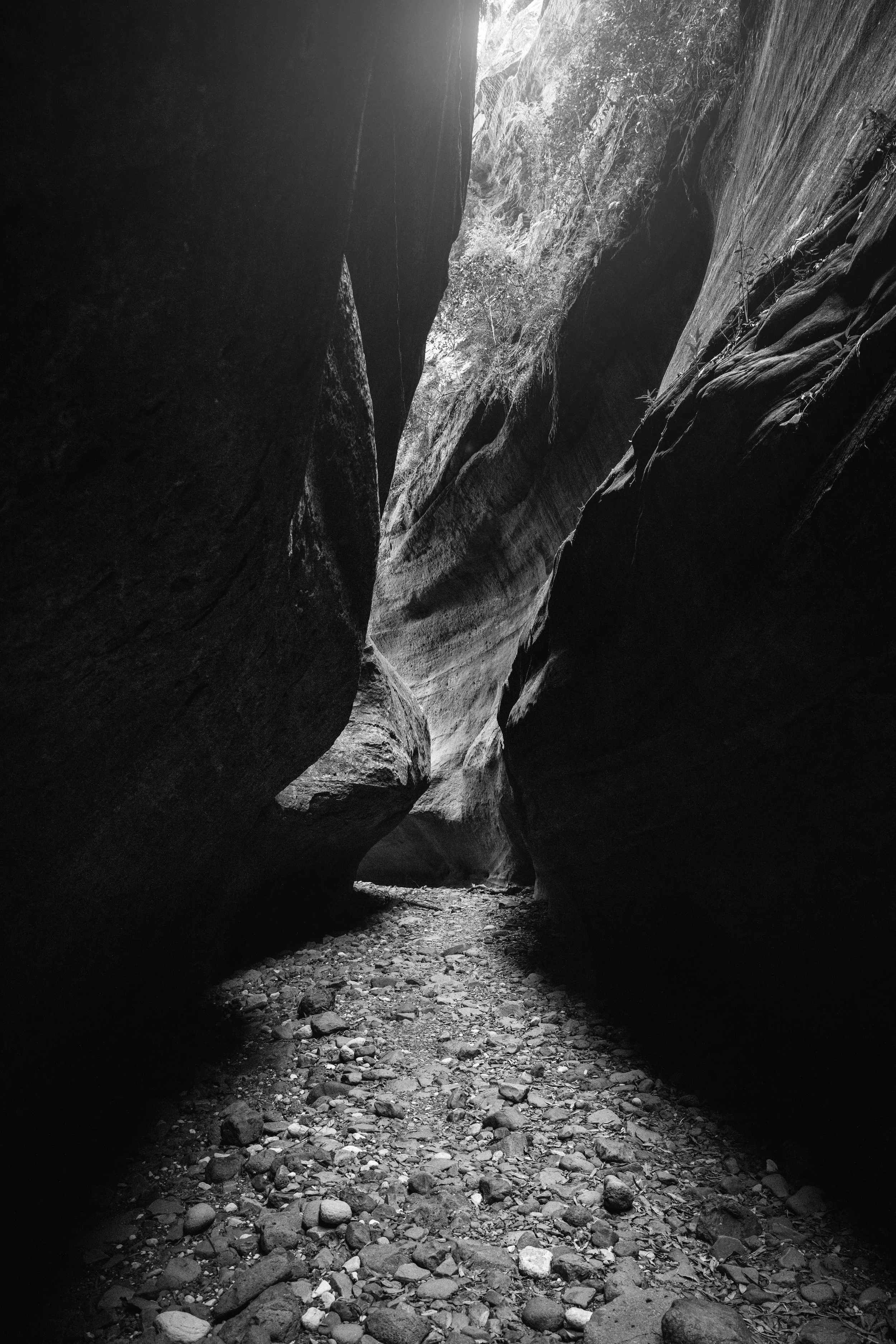 1K1A6499bw.jpg