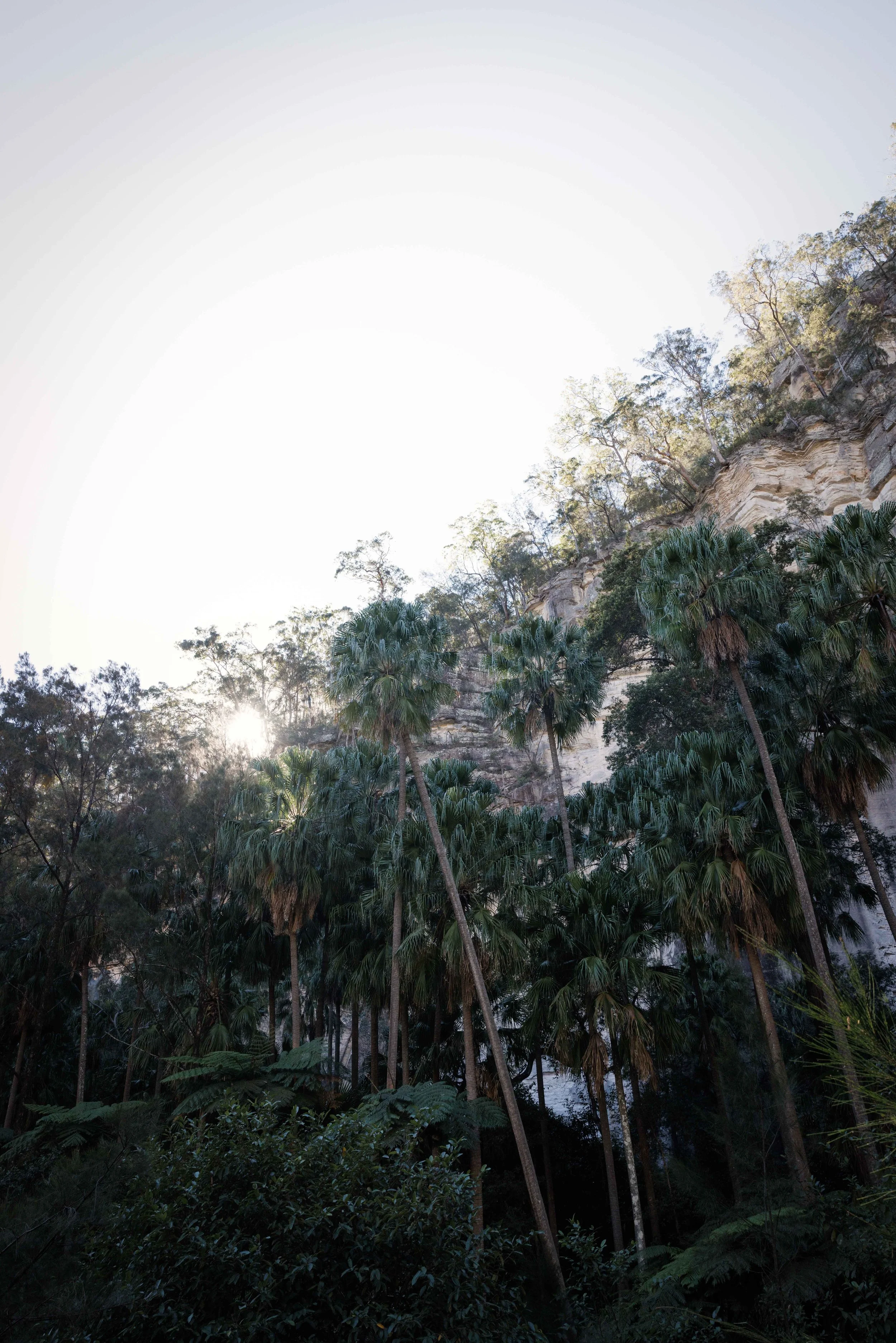 We Drove 9½ Hours to Look at a Rock