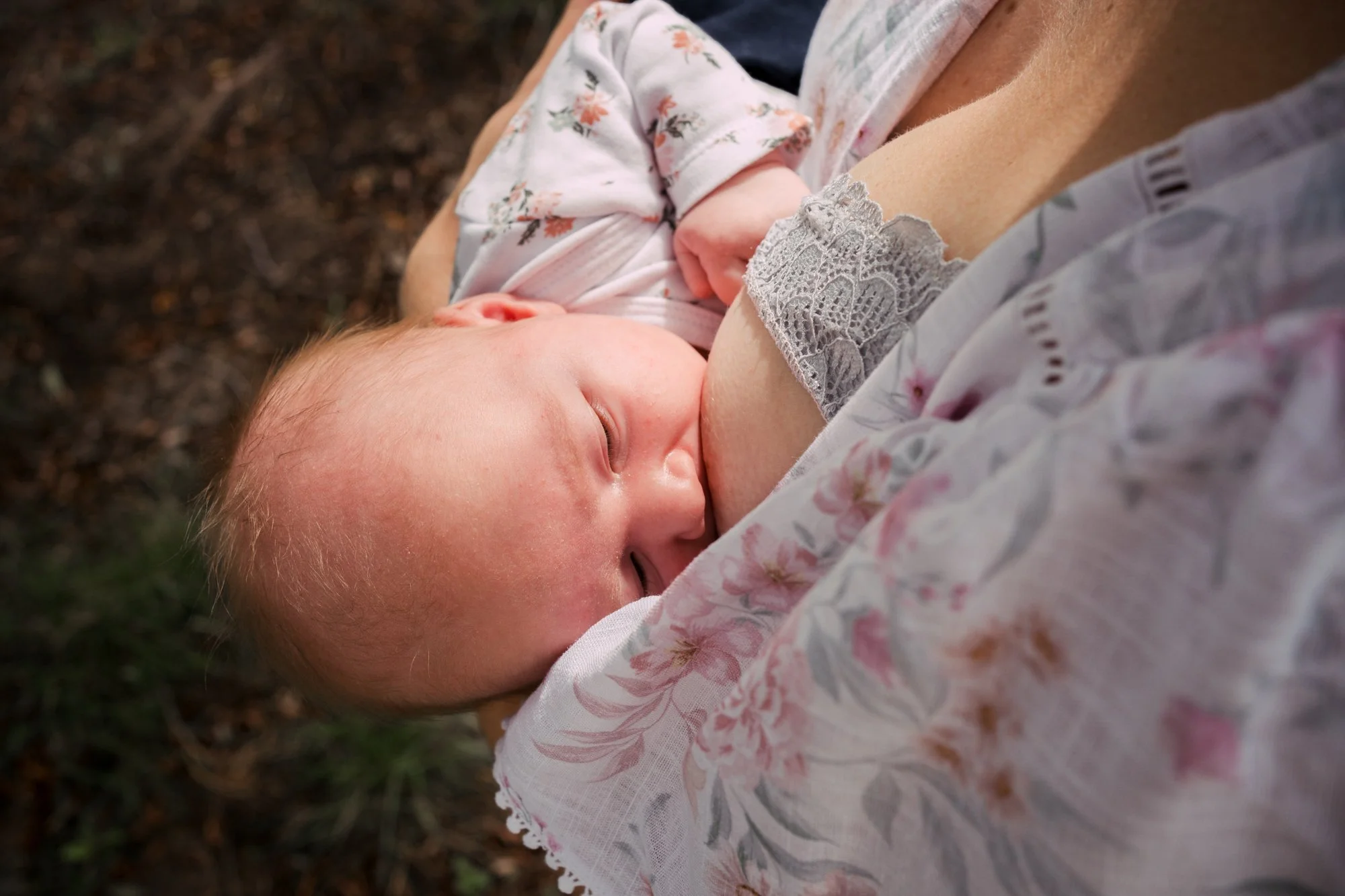a close up photo of a newborn baby breast feeding in golden sunlight