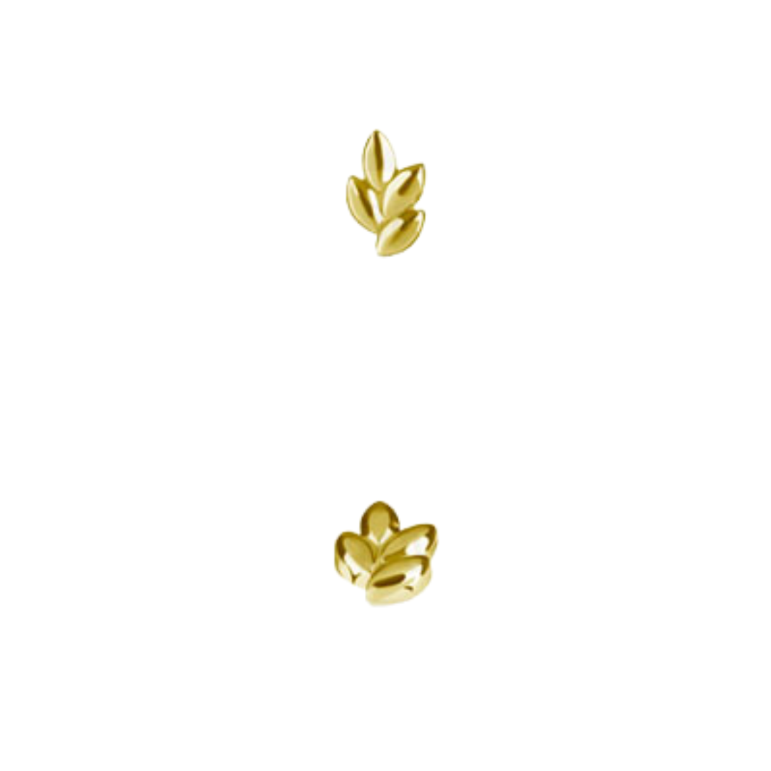 Plain Leaf