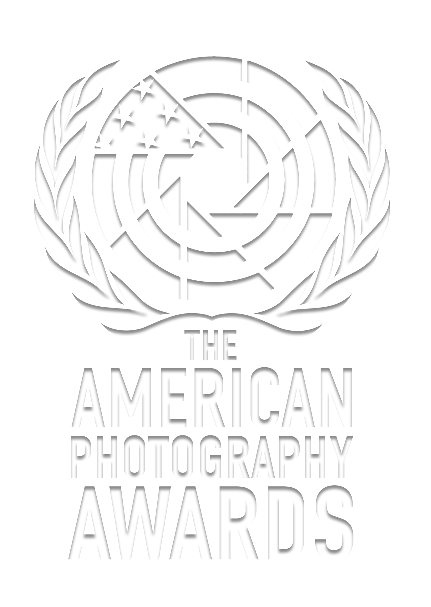The American Photography Awards
