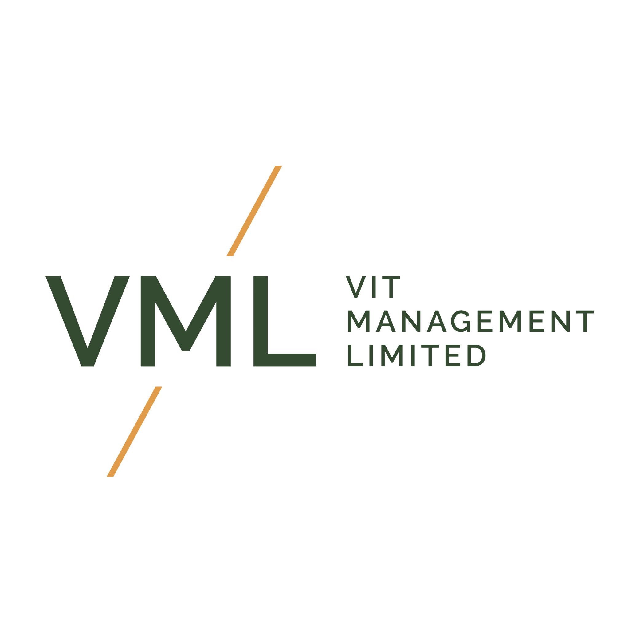 https://www.vitmanagement.co.nz/ (Copy)