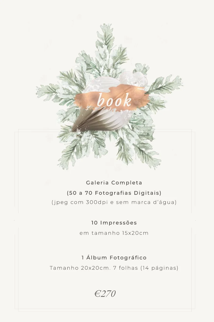 sessão natal 2025 porto plano book valores