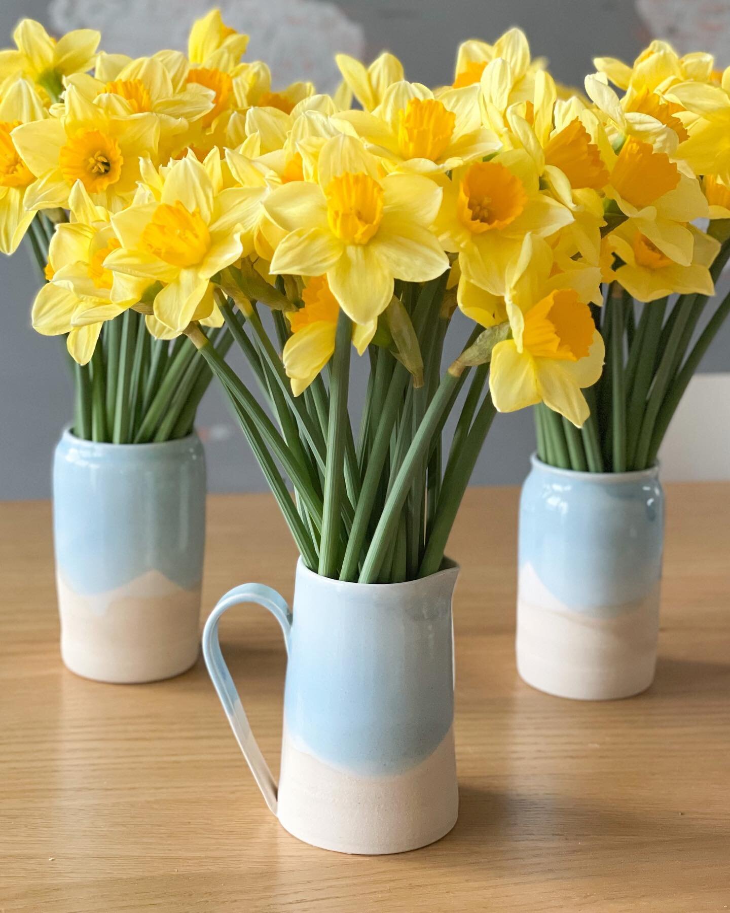Daffodils in full bloom 💛

Only brought yesterday 🙄

#handmade #ceramics #constantinebay #cornwall #pottery #stoneware #wheelthrownpottery #satisifying #shoplocal #shopsmall #padstow #newquaylife #photography