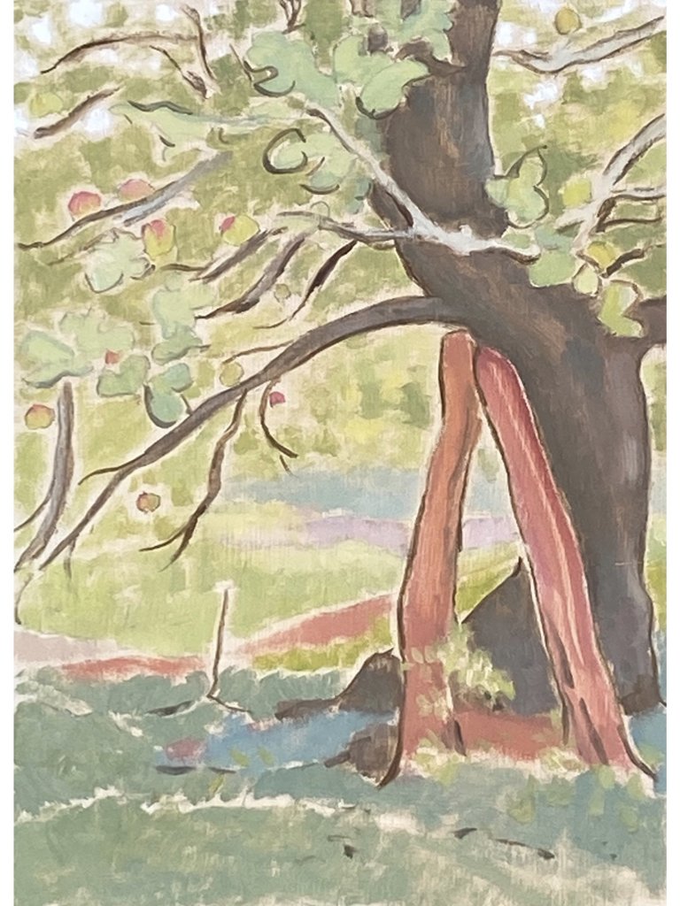 apple_tree_4_3.001.jpeg