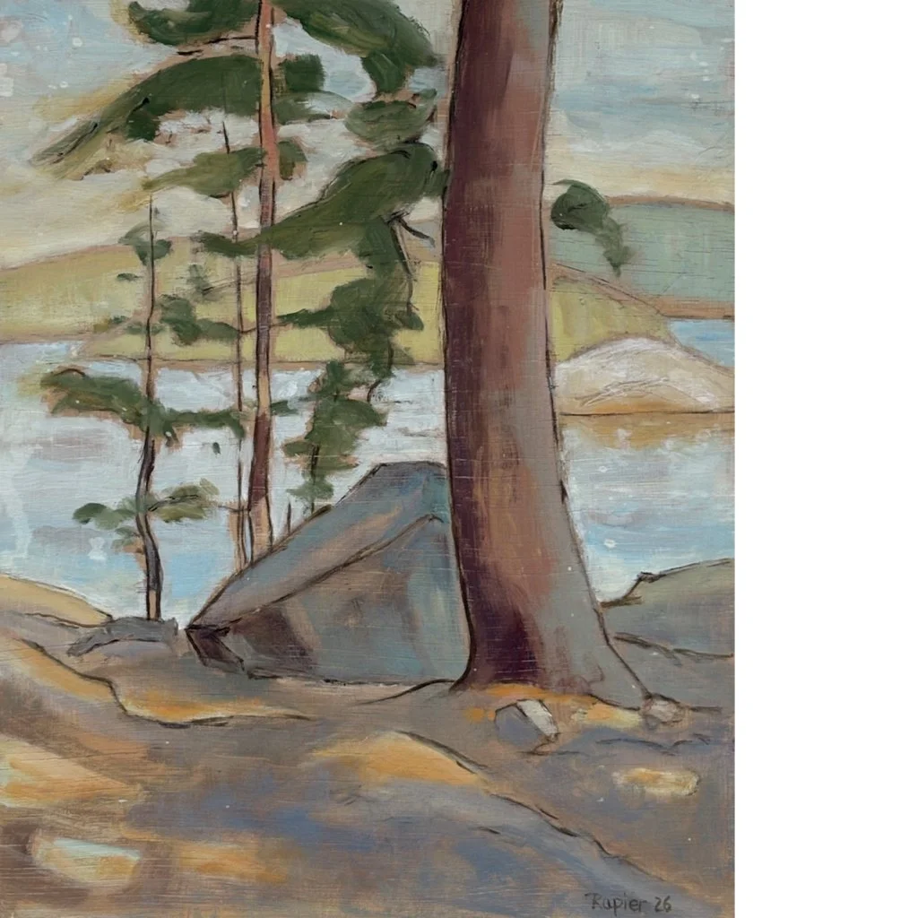 Pine Trees in Sunlight