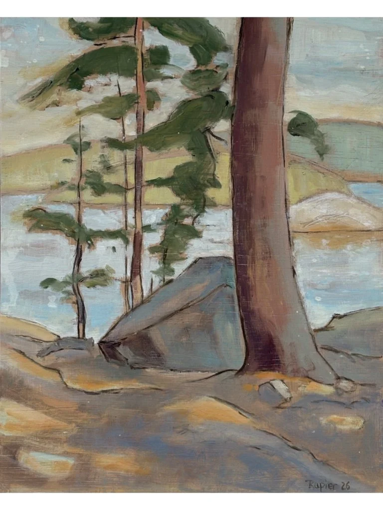 pine trees in sunlight.001.jpeg