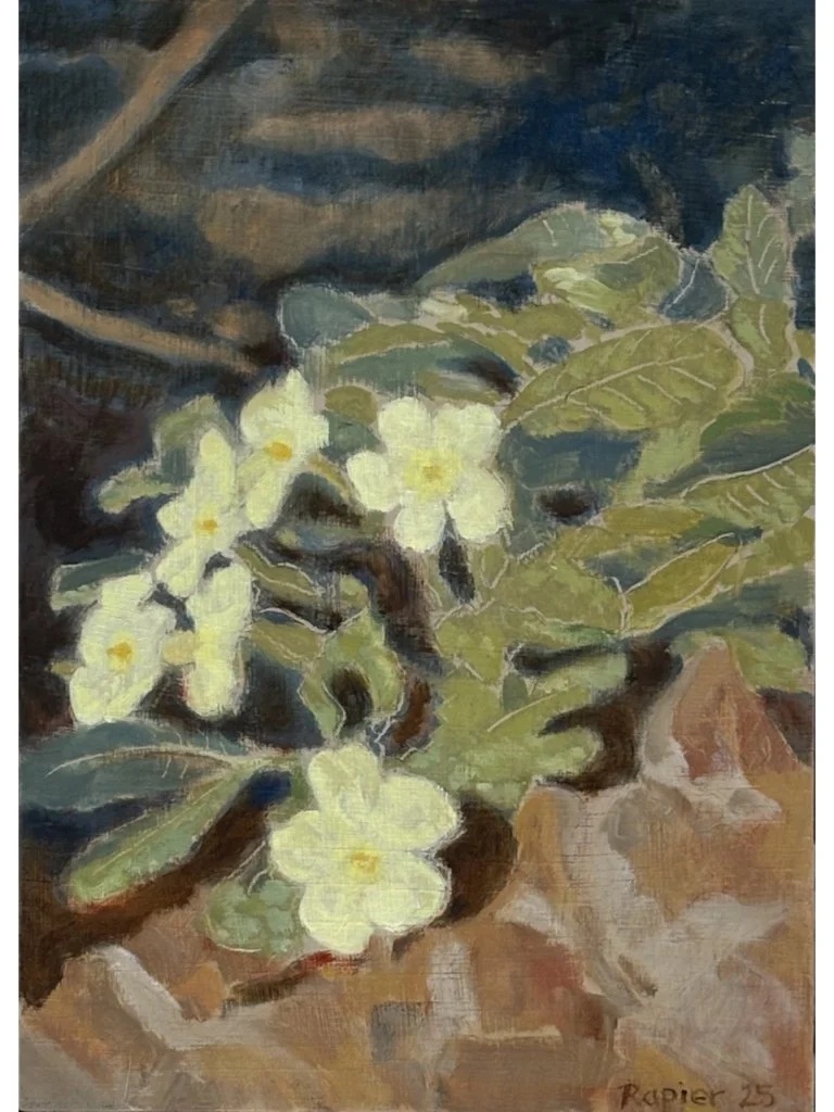 primroses_4_3.001.jpeg