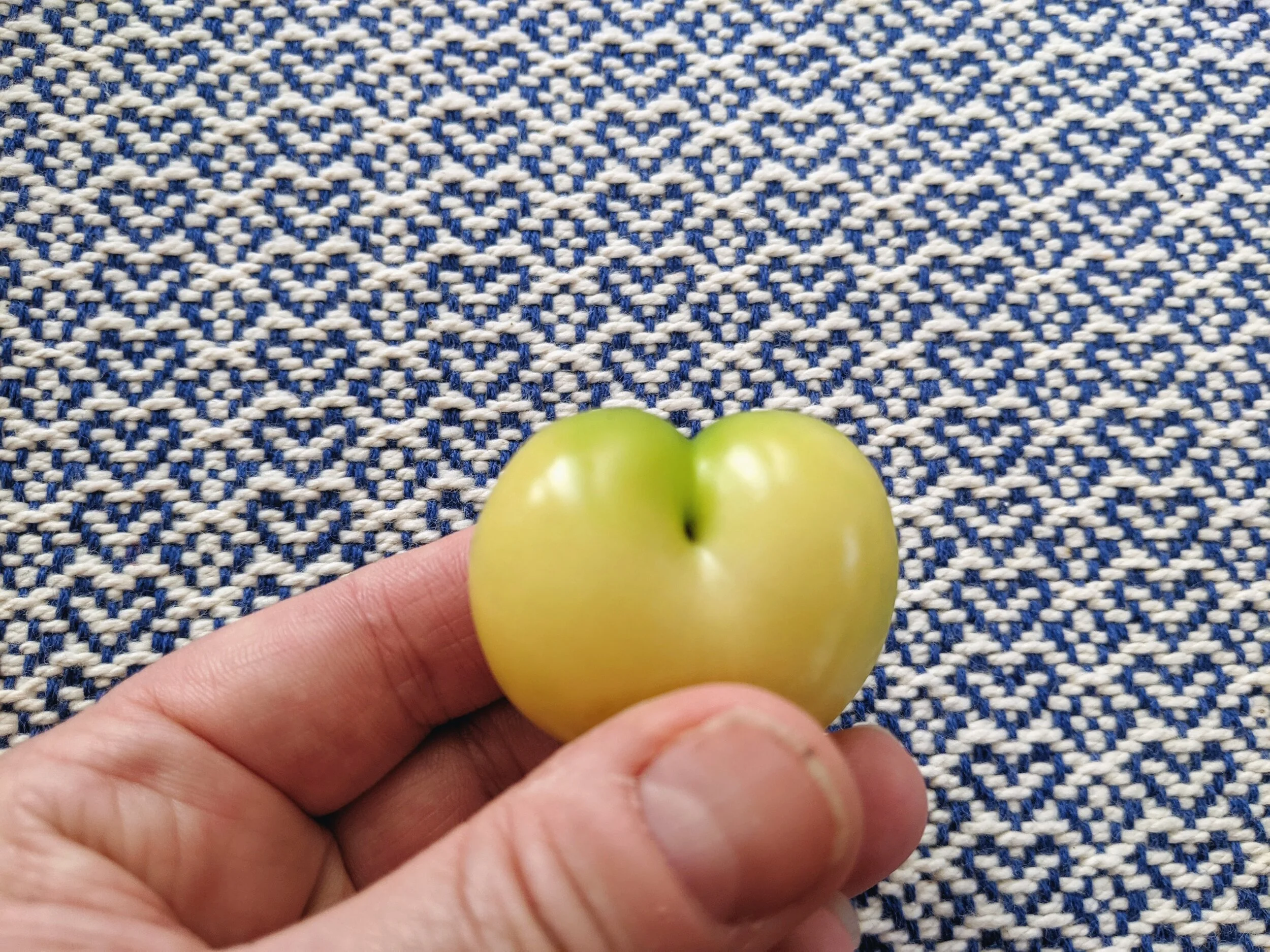 Creating From a Sense of Wonder