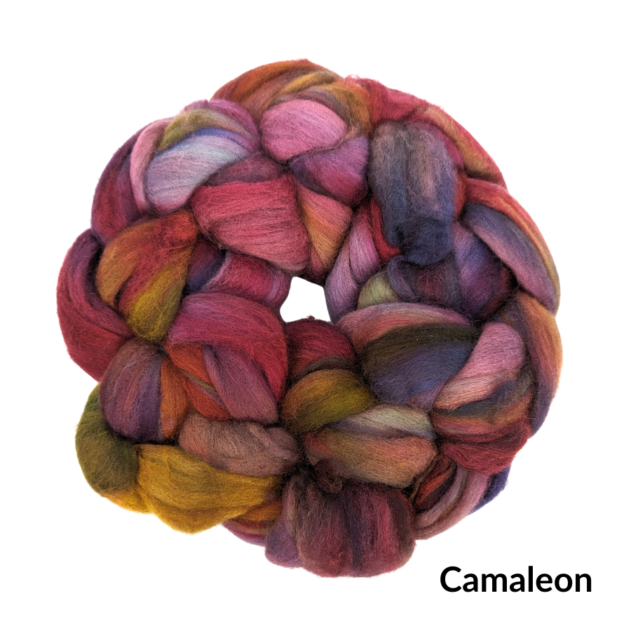 Nube Camaleon.png